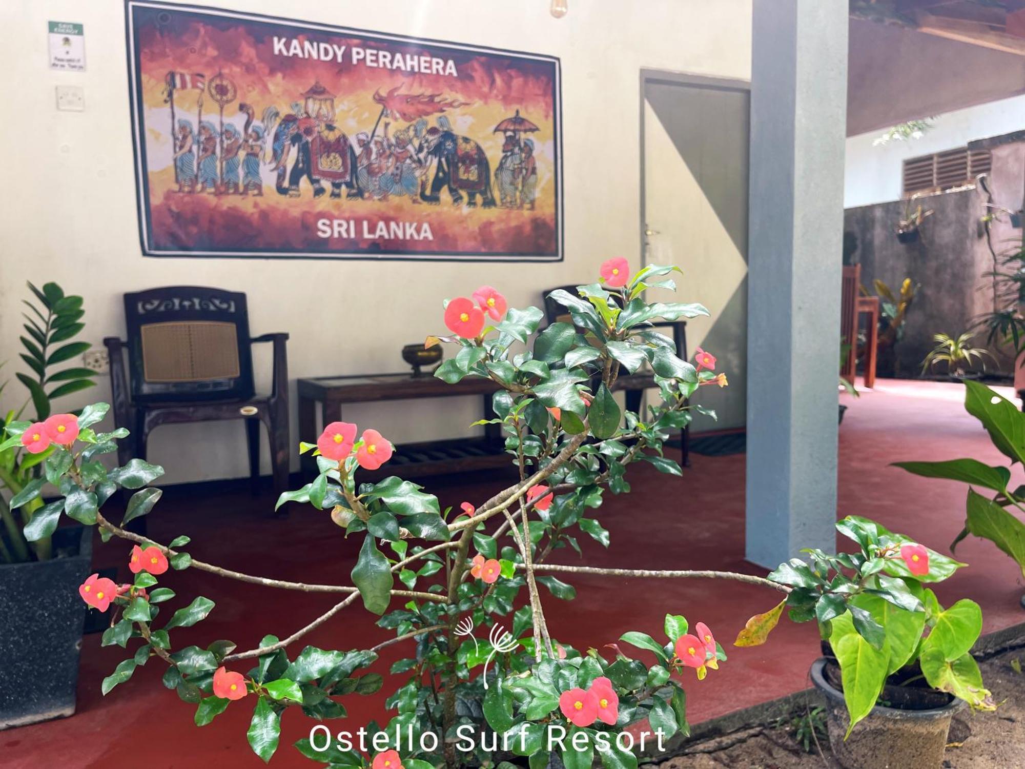 Ostello Surf Resort Аханґама Номер фото
